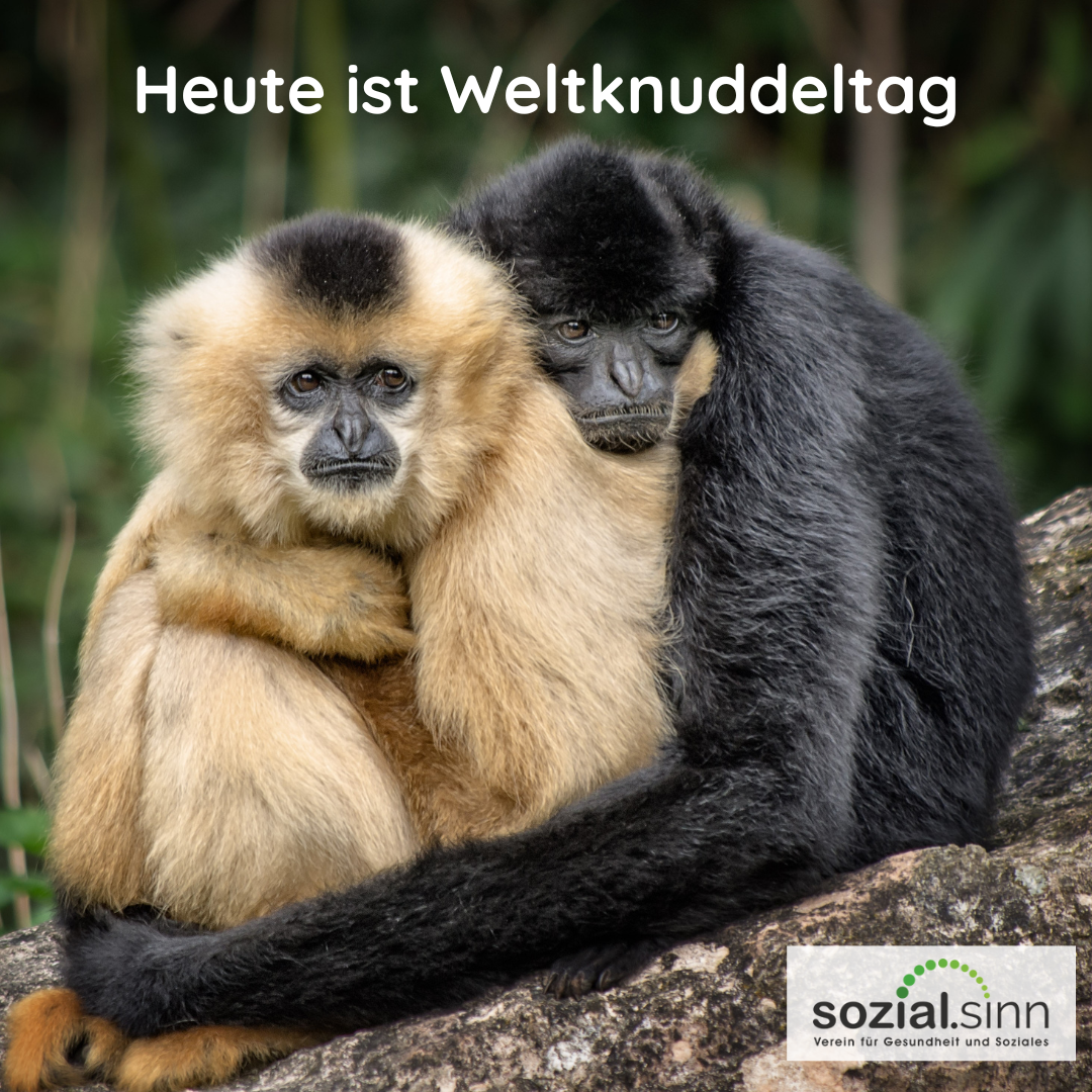 Weltknuddeltag